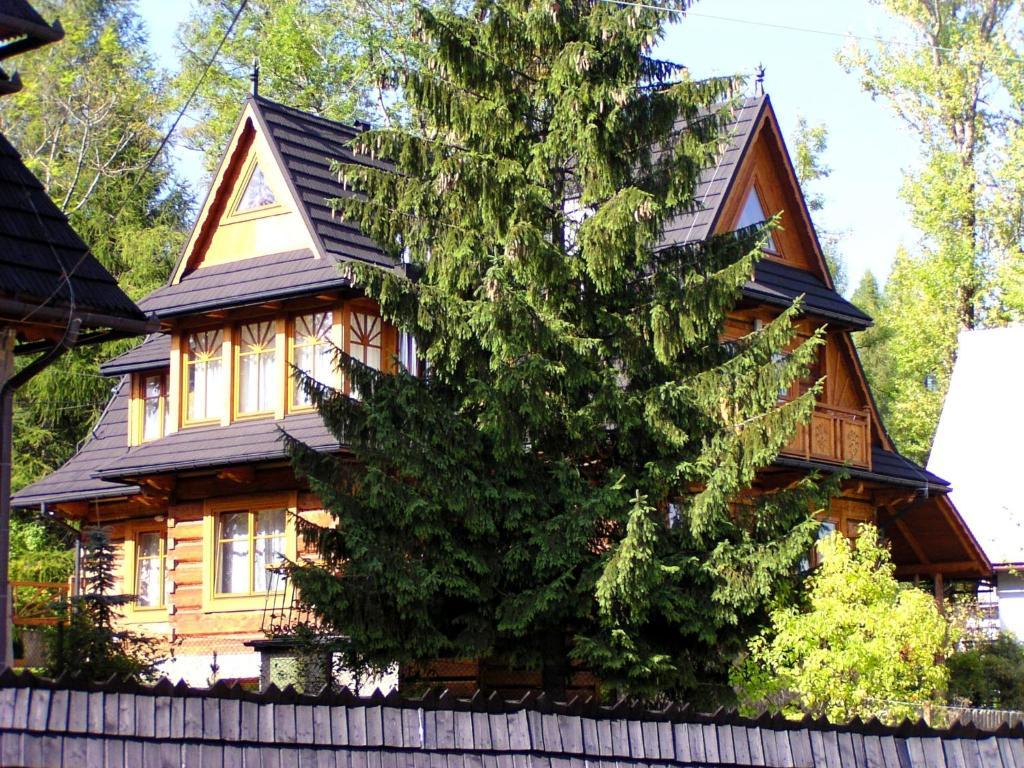 Willa Olga Zakopane Bagian luar foto